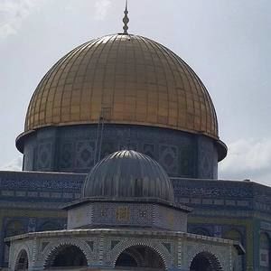 Meet your Posher, Nora